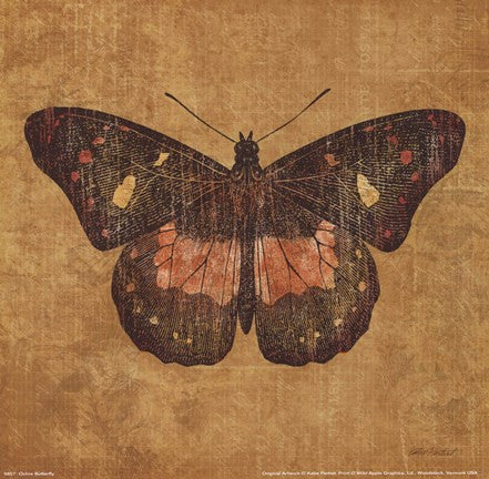 Ochre Butterfly