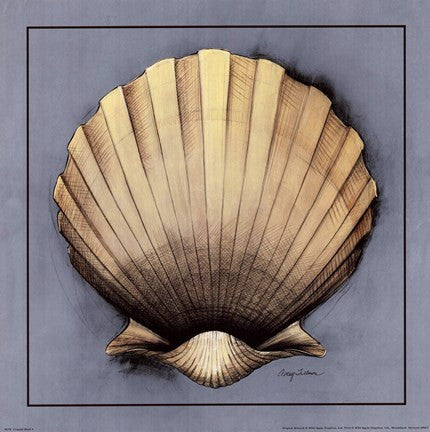 Coastal Shell II