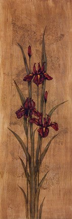 Iris Of Delos I