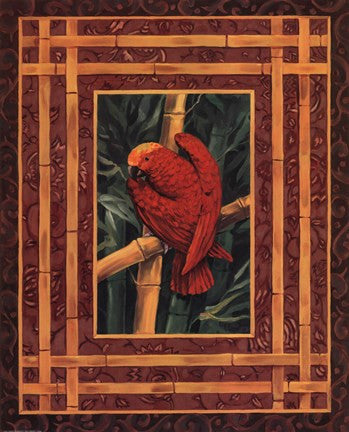 Crimson Parrot