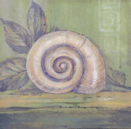 Tranquil Seashell III