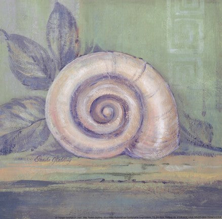 Tranquil Seashells III - Mini