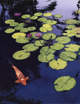 Koi Pond I