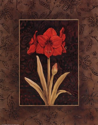 Damask Amaryllis - Mini