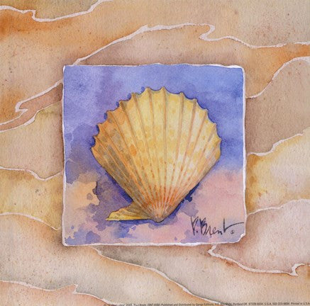 Scallop - Mini