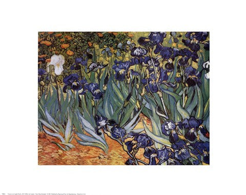 Irises in the Garden, Saint-Remy, c.1889