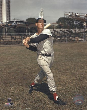 Ted Williams - Posed Batting