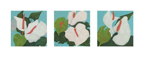 Anthurium Triptych