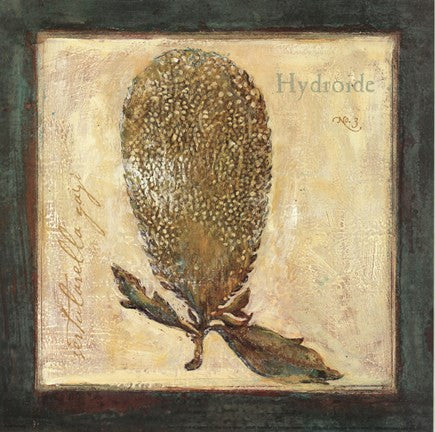 Hydroide