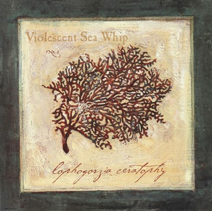 Violescent I