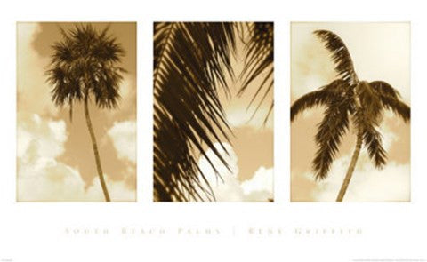 South Beach Palms