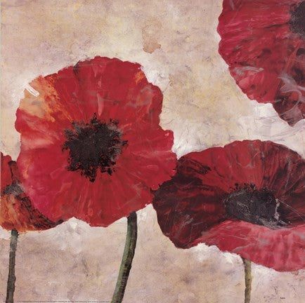 Poppies