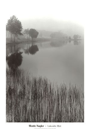 Lakeside Mist