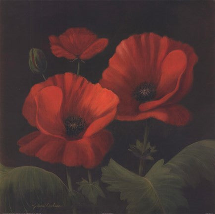 Vibrant Red Poppies I