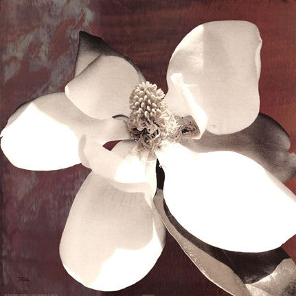 Magnolia Blue I