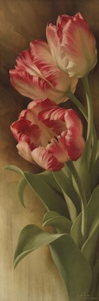 Spring's Parrot Tulip II