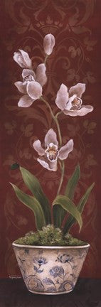 Organic Orchids I