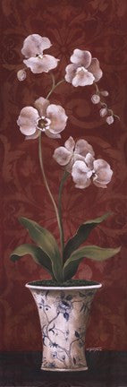 Organic Orchids II