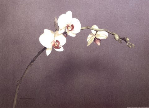 Orchid I