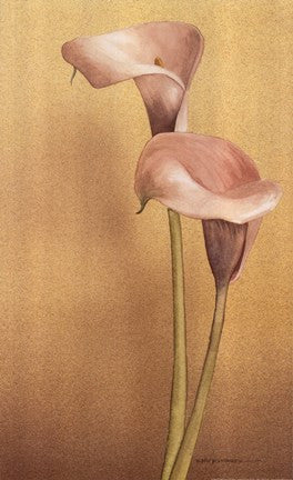 Calla II