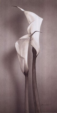 Twin Callas II