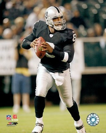 Daunte Culpepper - 2007 Action