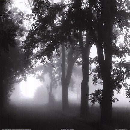 Misty Pathway