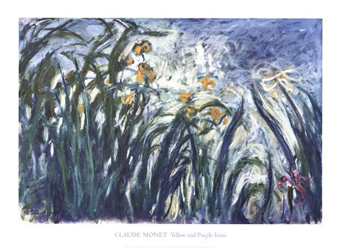 Yellow and Purple Irises, 1924-25