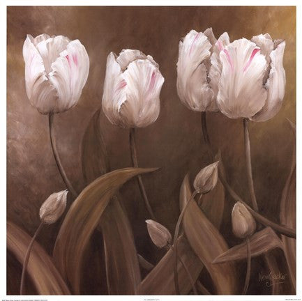 Sepia Tulips II