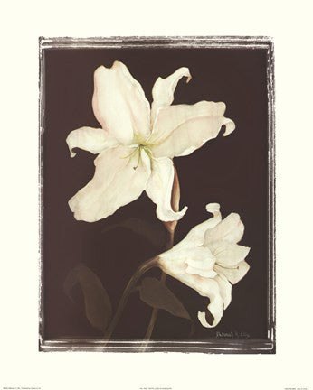 White Lilies in Chocolate