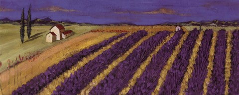 Rows of Lavender