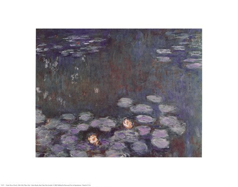 Water Lilies