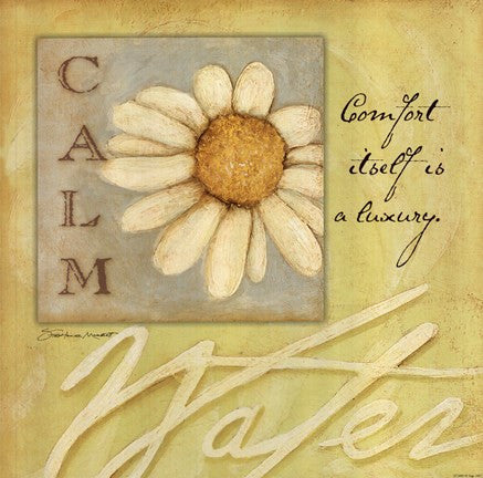 Calm - Daisy