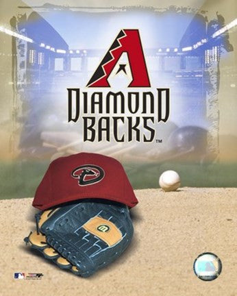 2007 - Diamond Backs Logo