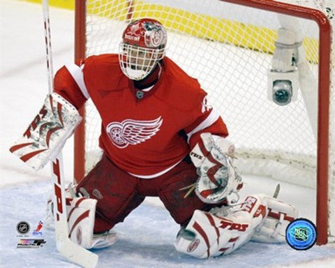 Dominik Hasek - 2007 Home Action