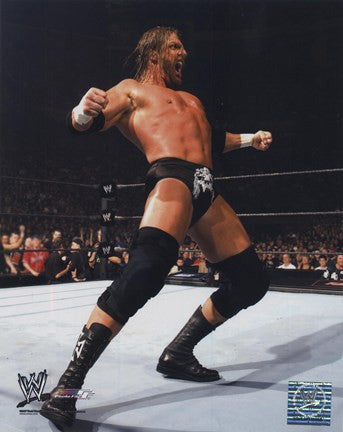 Triple H - (#442)