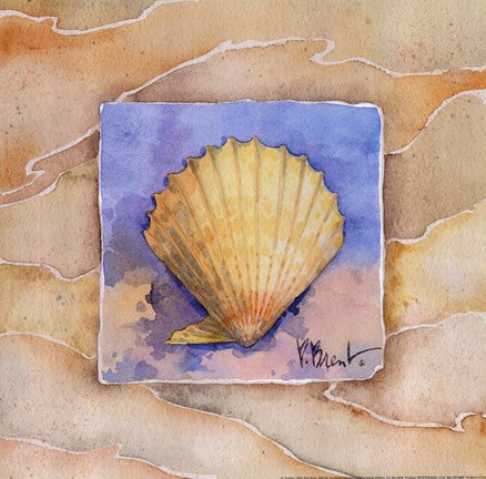 Scallop