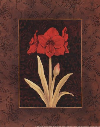 Damask Amaryllis - petite