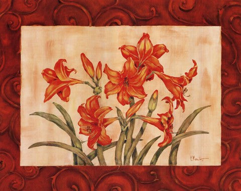 Linen Scroll Amaryllis