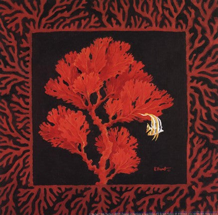 Sea Fan II