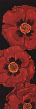 Bella Grande Poppies