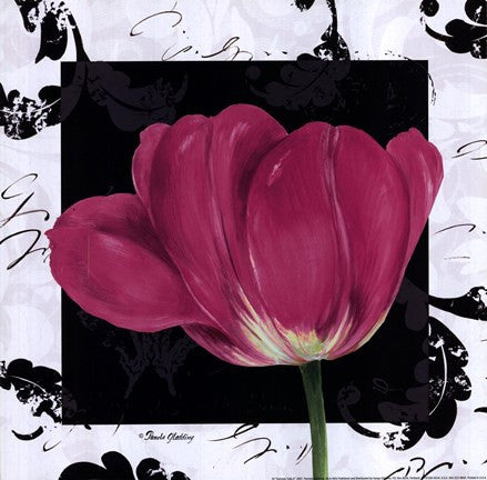 Damask Tulip II