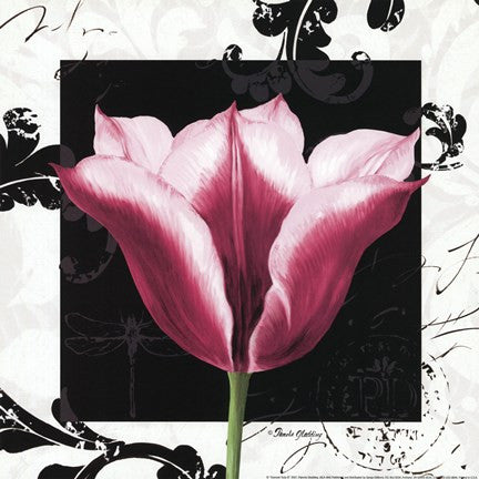 Damask Tulip III