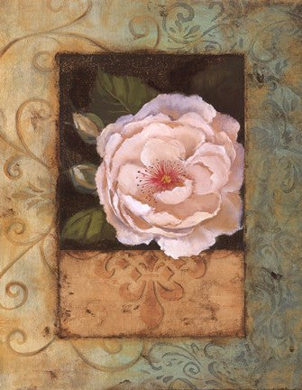 Antique Rose II