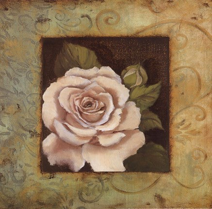 Antique Rose III