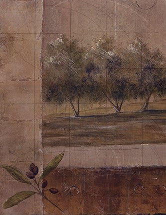 Olive Groves I