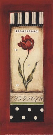 Belgian Tulip II - petite