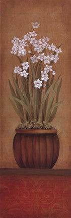 Paperwhites I