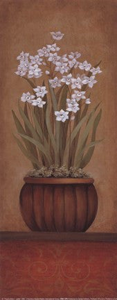 Paperwhites I - petite