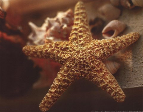 Starfish I